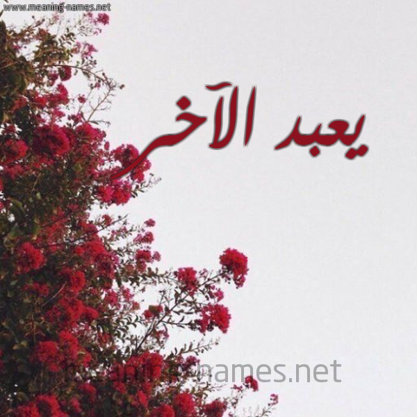 شكل 18 صوره الورد الأحمر للإسم بخط رقعة صورة اسم يعبد الآخر Abd-al-Akher